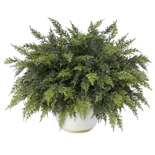 WEBSITE PRODUCT TEMPLATES - 2025-12-01T101823.615